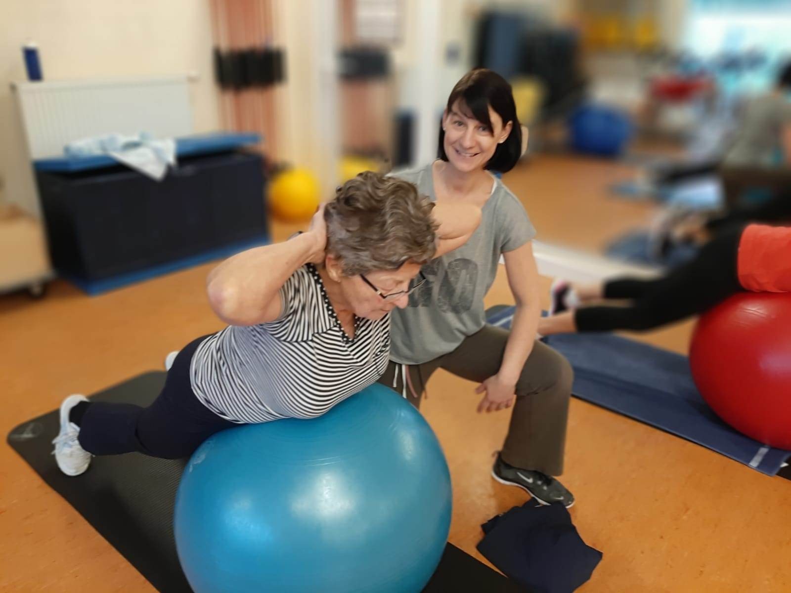 Dr. Wolff Rückentraining